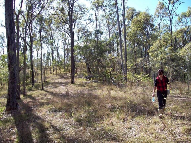 1 Camp Paddock Road, Good Night QLD 4671