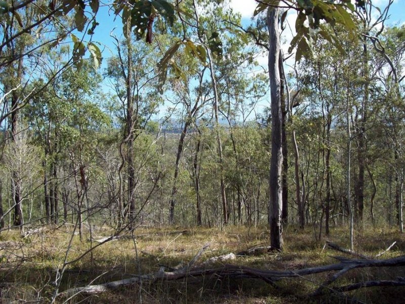 1 Camp Paddock Road, Good Night QLD 4671