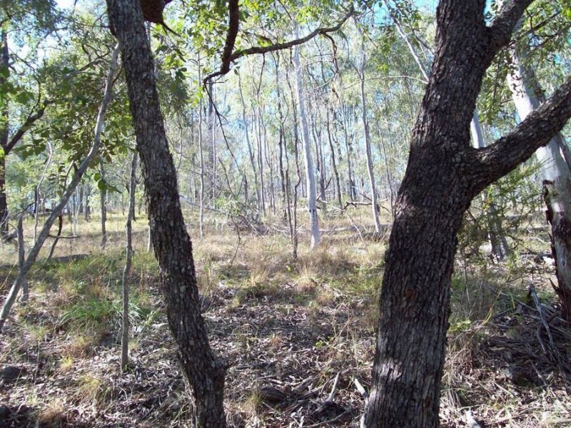 1 Camp Paddock Road, Good Night QLD 4671