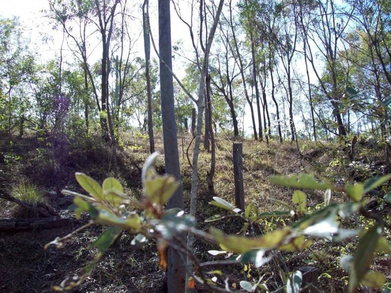 1 Camp Paddock Road, Good Night QLD 4671