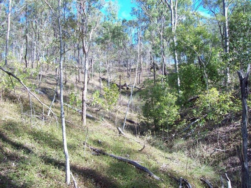 1 Camp Paddock Road, Good Night QLD 4671