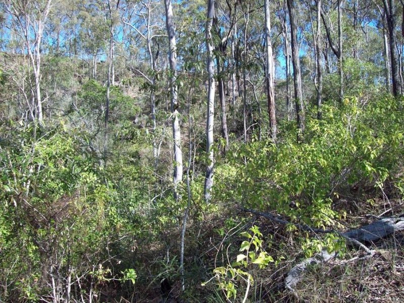 1 Camp Paddock Road, Good Night QLD 4671