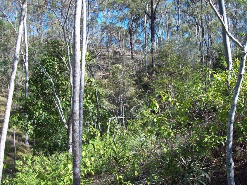 1 Camp Paddock Road, Good Night QLD 4671