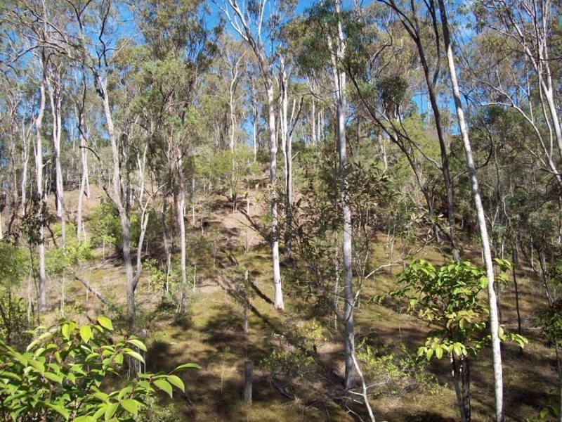 1 Camp Paddock Road, Good Night QLD 4671