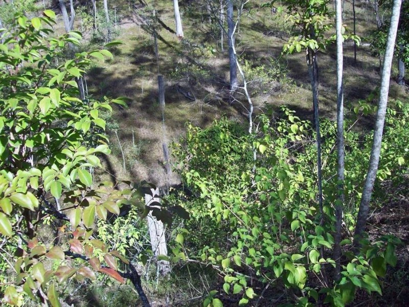 1 Camp Paddock Road, Good Night QLD 4671