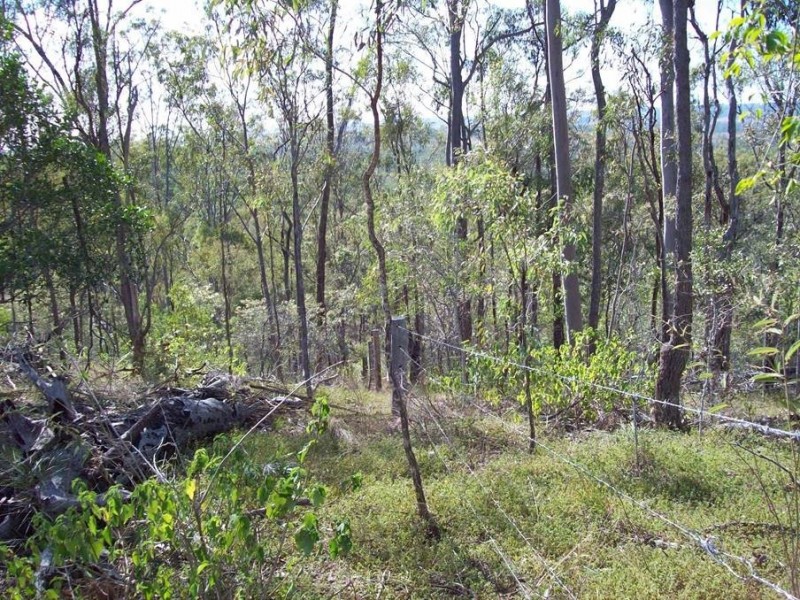 1 Camp Paddock Road, Good Night QLD 4671