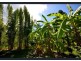 328 Sleipner Road, Mount Chalmers QLD 4702