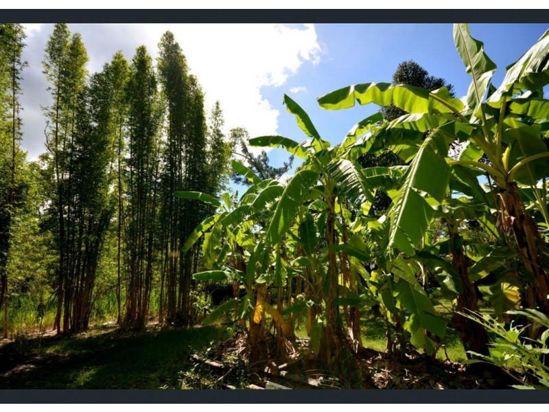 328 Sleipner Road, Mount Chalmers QLD 4702