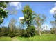 328 Sleipner Road, Mount Chalmers QLD 4702
