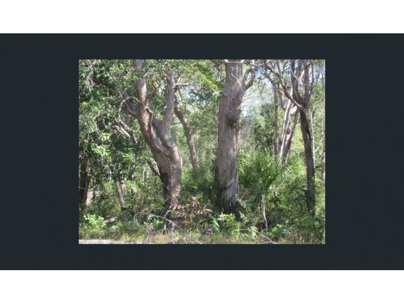 265 MULLER RD, Baffle Creek QLD 4674