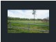 149 Haberecht Road, Majors Creek QLD 4816