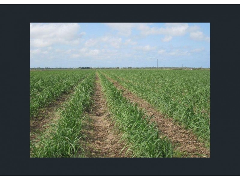 46 Soldier Road, Rita Island QLD 4807