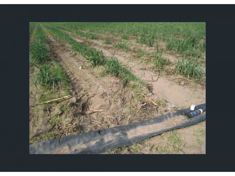 46 Soldier Road, Rita Island QLD 4807