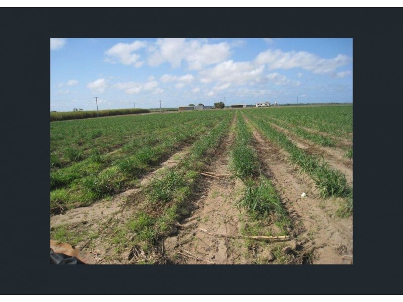 46 Soldier Road, Rita Island QLD 4807