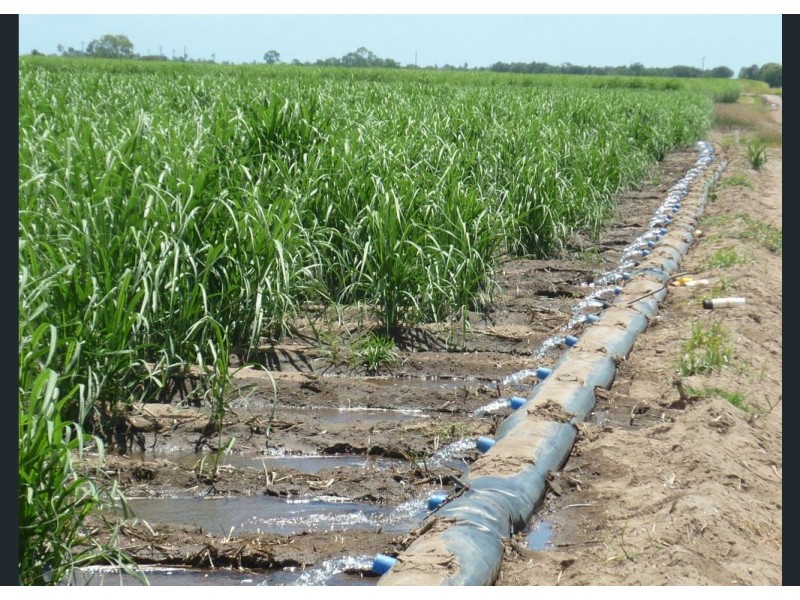 46 Soldier Road, Rita Island QLD 4807