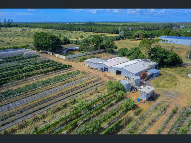 6 Pashleys Road, Welcome Creek QLD 4670