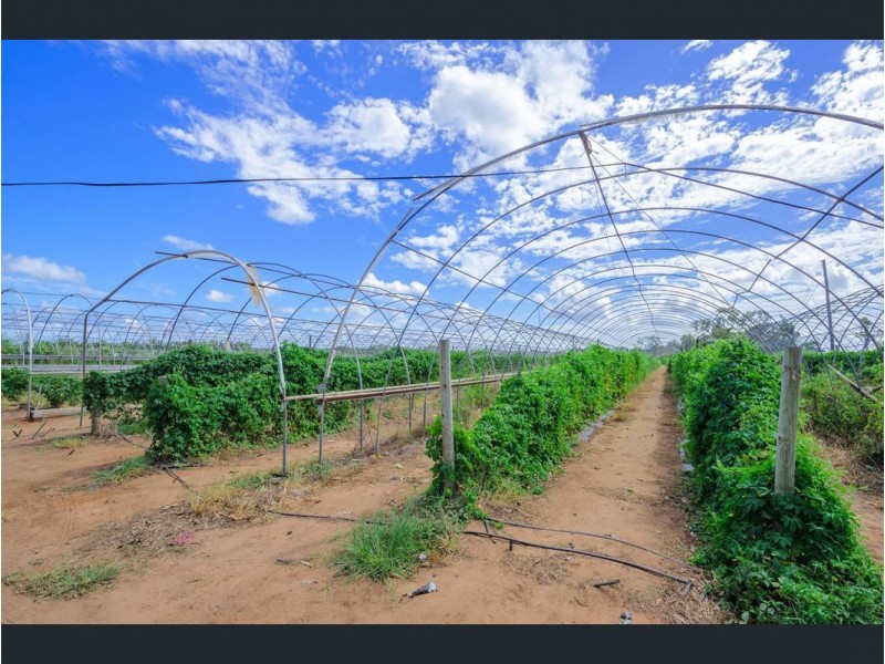 6 Pashleys Road, Welcome Creek QLD 4670