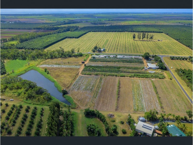 6 Pashleys Road, Welcome Creek QLD 4670