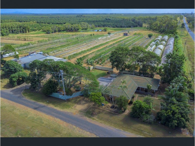 6 Pashleys Road, Welcome Creek QLD 4670