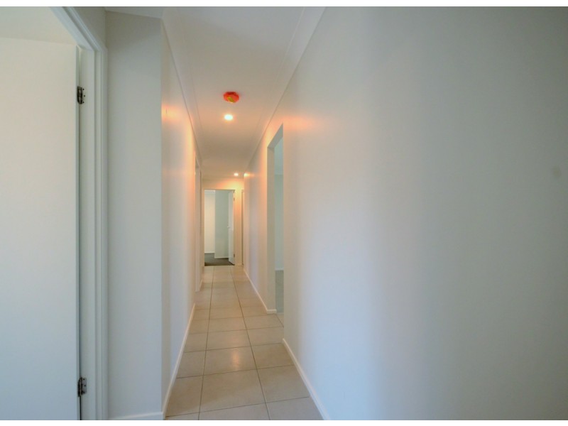 47 Cyperus Crescent, Carseldine QLD 4034