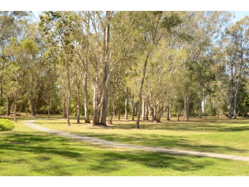 47 Cyperus Crescent, Carseldine QLD 4034