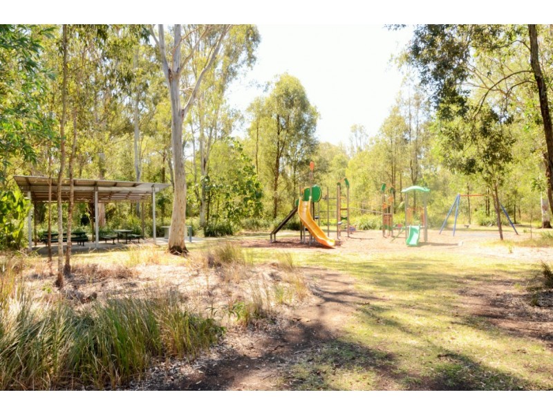 47 Cyperus Crescent, Carseldine QLD 4034