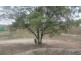 25 Mount Rose Street, Eidsvold QLD 4627