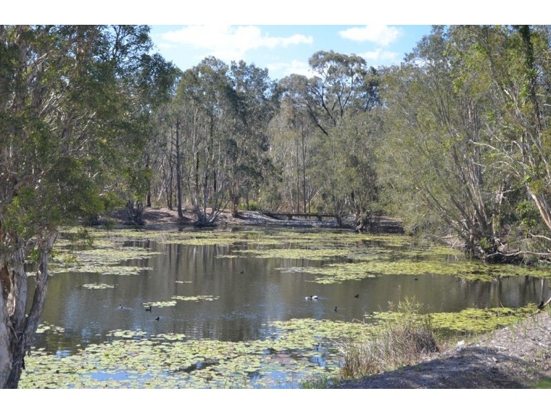 12 Stillwater Street, Mango Hill QLD 4509