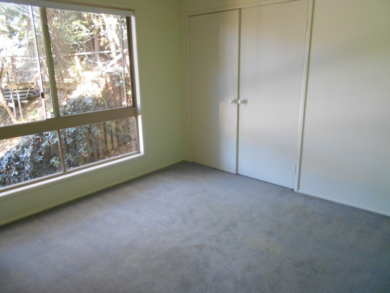 41 Morningview St, Chapel Hill QLD 4069