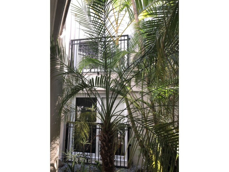 3 Whitmore St, Taringa QLD 4068