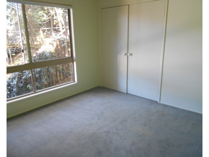 41 Morningview St, Chapel Hill QLD 4069