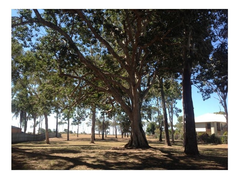 Moore Park Beach QLD 4670