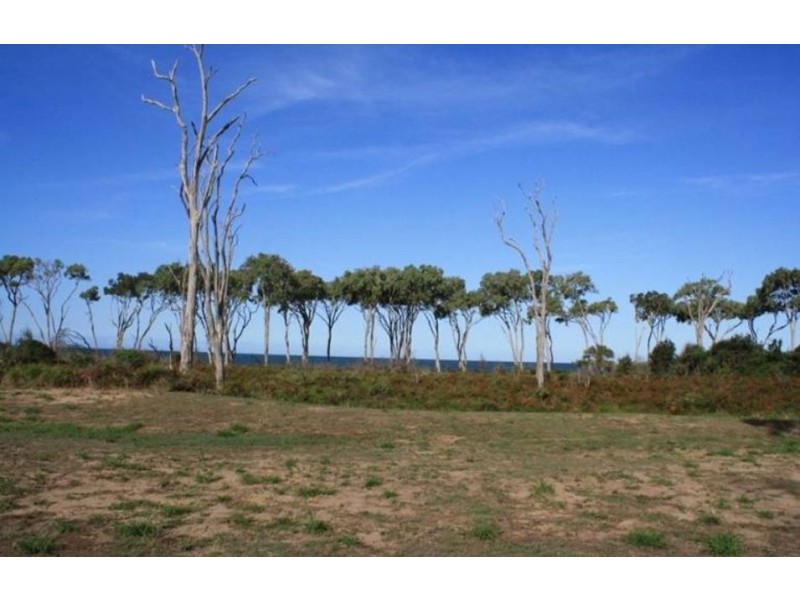 Moore Park Beach QLD 4670