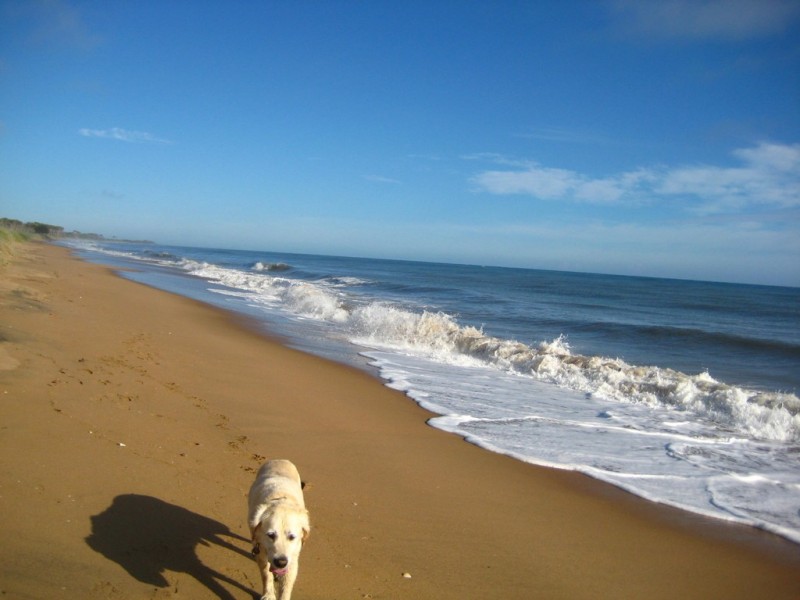 Moore Park Beach QLD 4670