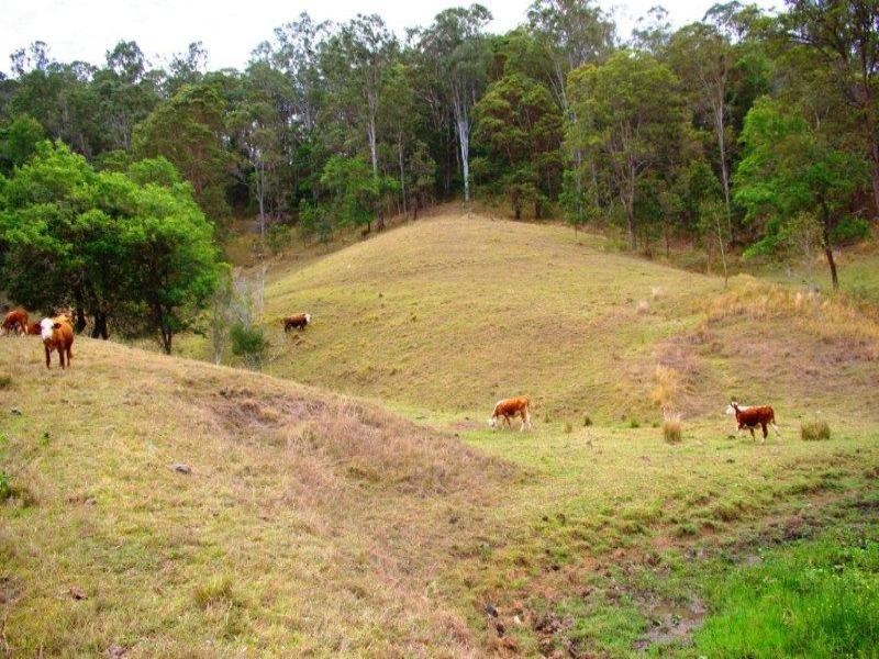 Eerwah Vale QLD 4562