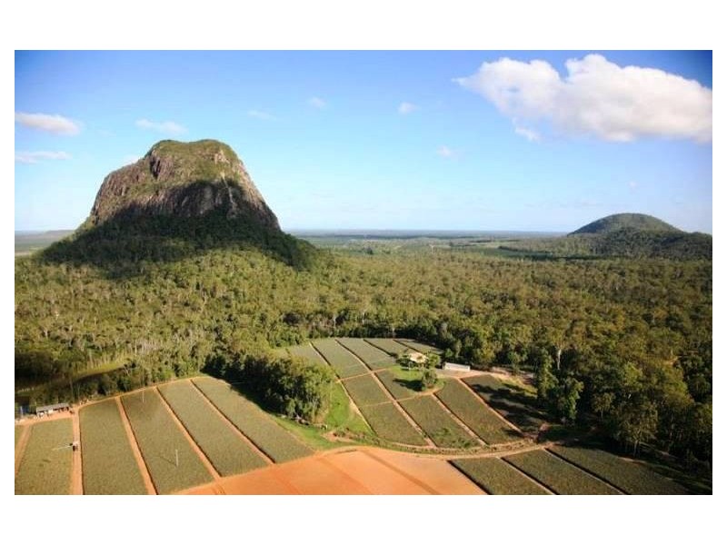 Glass House Mountains QLD 4518