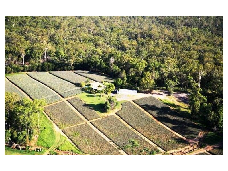 Glass House Mountains QLD 4518