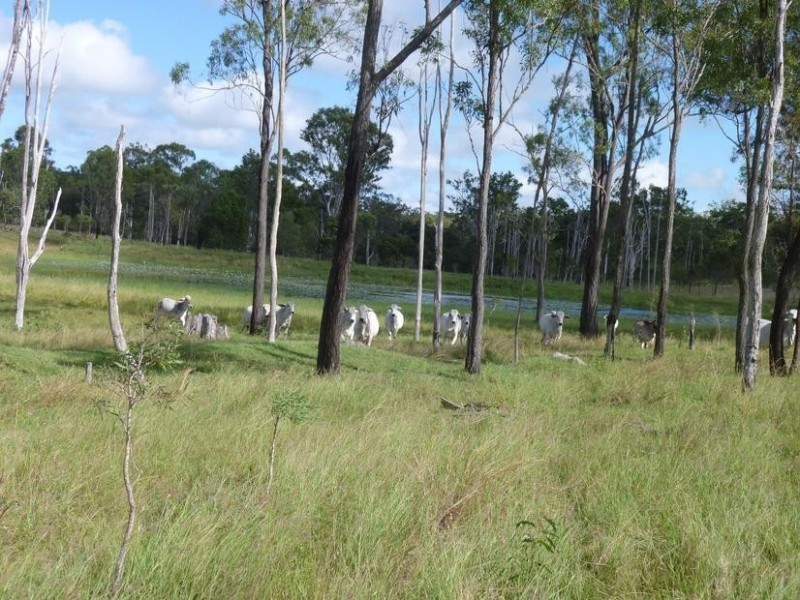 Childers QLD 4660