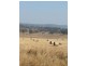 Cloyna QLD 4605