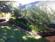 Tambo QLD 4478
