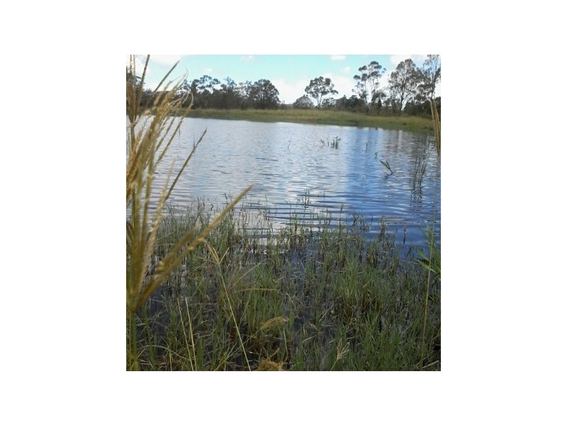 Machine Creek QLD 4695