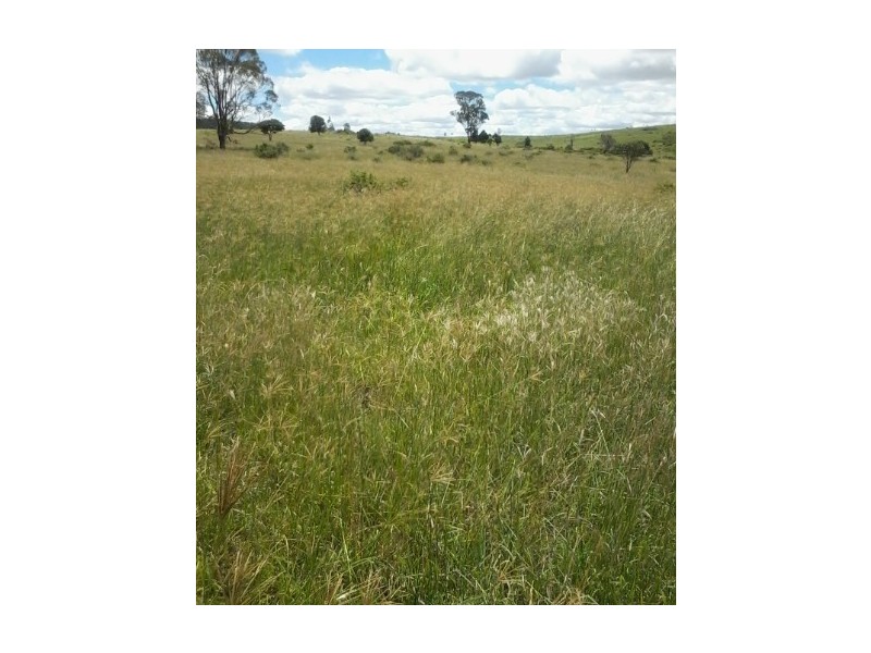 Machine Creek QLD 4695