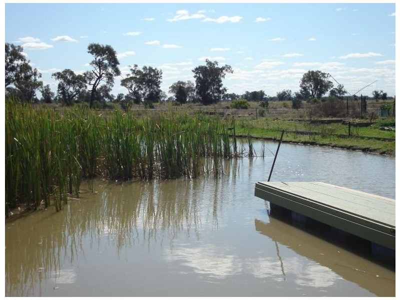 Goondiwindi QLD 4390