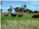 Greenmount East QLD 4359