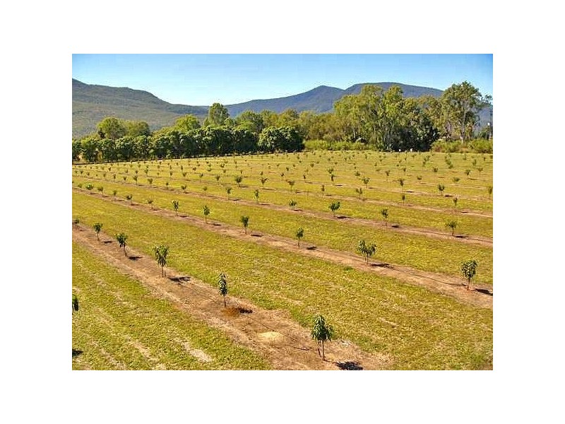 Majors Creek QLD 4816