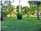Majors Creek QLD 4816