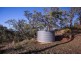 Bajool QLD 4699