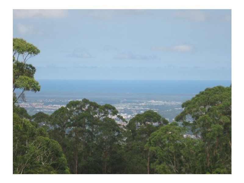 Tamborine Mountain QLD 4272