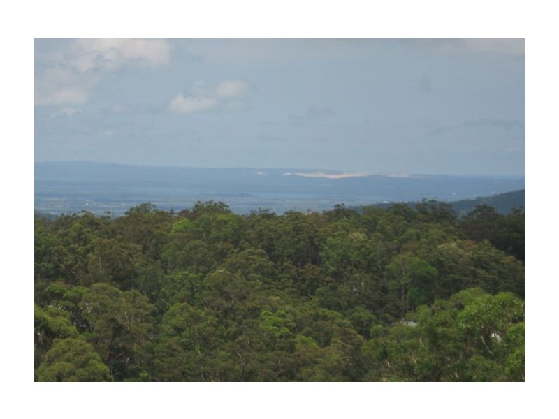 Tamborine Mountain QLD 4272