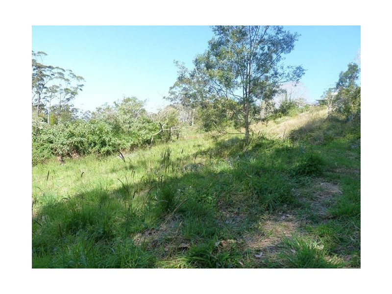 Tamborine Mountain QLD 4272